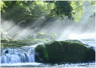 菊池渓谷の光芒画像