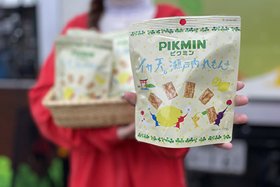 PIKMIN イカ天瀬⼾内れもん味25g